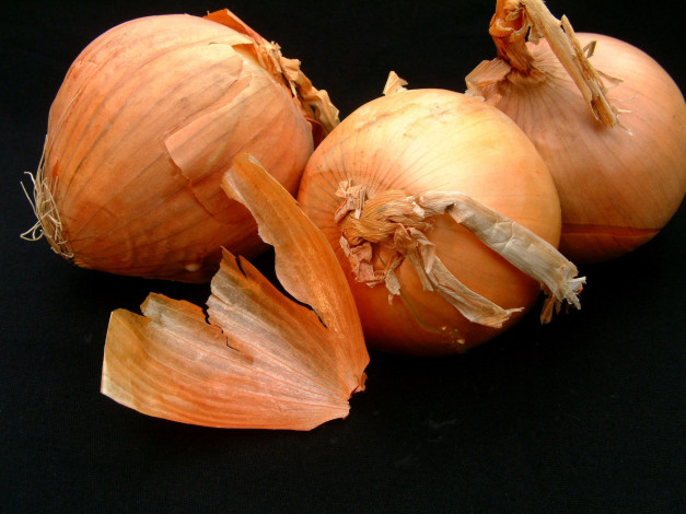 Обои картинки фото еда, лук