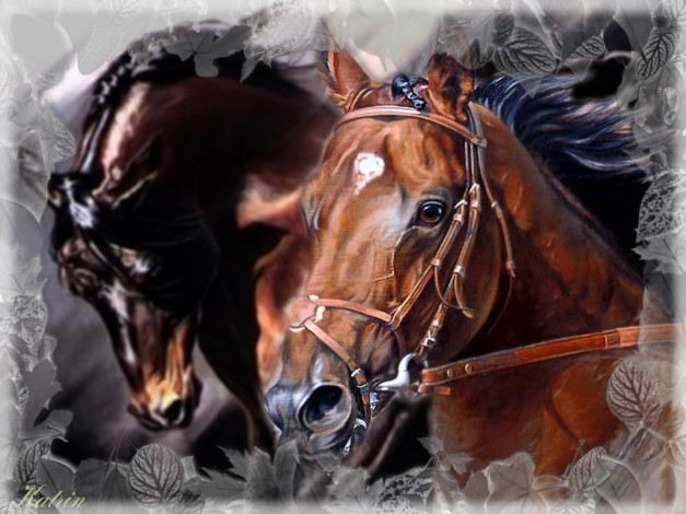 Обои картинки фото разное