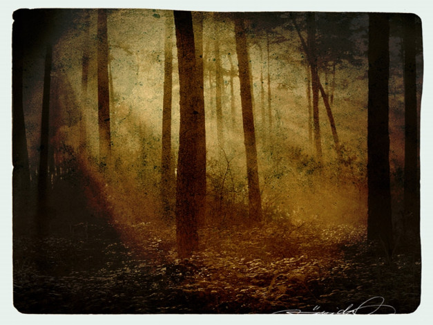 Обои картинки фото рисованные, природа