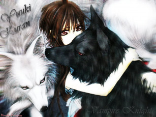 Картинка аниме vampire knight