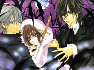 Картинка аниме vampire knight