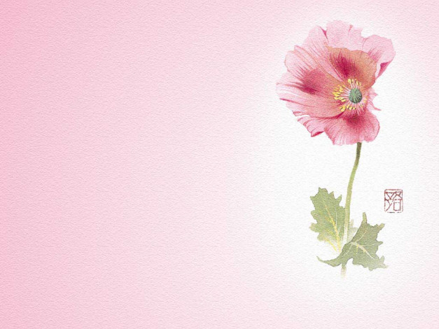 Обои картинки фото рисованные, цветы