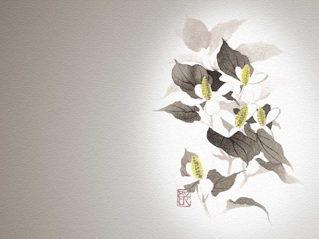 Обои картинки фото рисованные, цветы