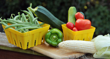 Картинка еда овощи кукуруза фасоль помидоры перец кабачки