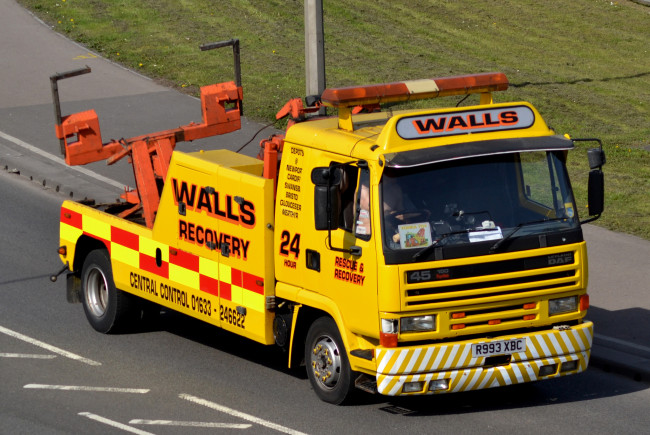 Обои картинки фото daf, автомобили, trucks, nv, шасси, седельные, тягачи, нидерланды, автобусы