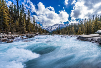 Картинка природа реки озера река лес