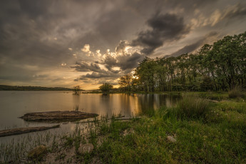 Картинка природа реки озера река лес