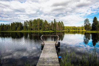 Картинка природа реки озера река лес