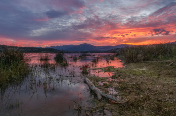 Картинка природа реки озера река лес