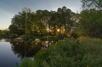 Картинка природа реки озера река лес