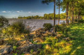 Картинка природа реки озера река лес