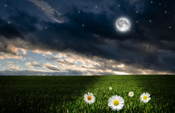 Картинка разное компьютерный+дизайн поверхность звезды луна