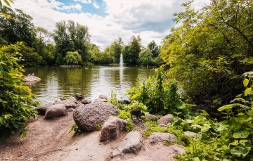 Картинка природа реки озера лес река