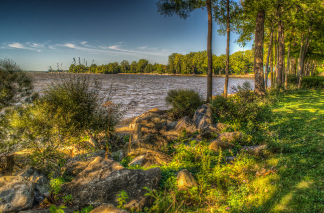 Обои картинки фото природа, реки, озера, река, лес