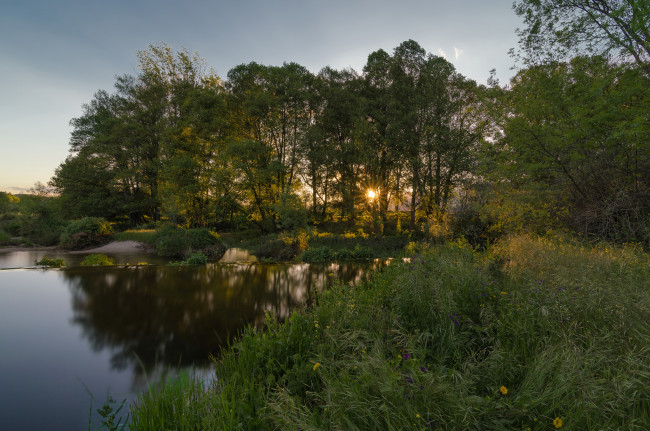 Обои картинки фото природа, реки, озера, река, лес