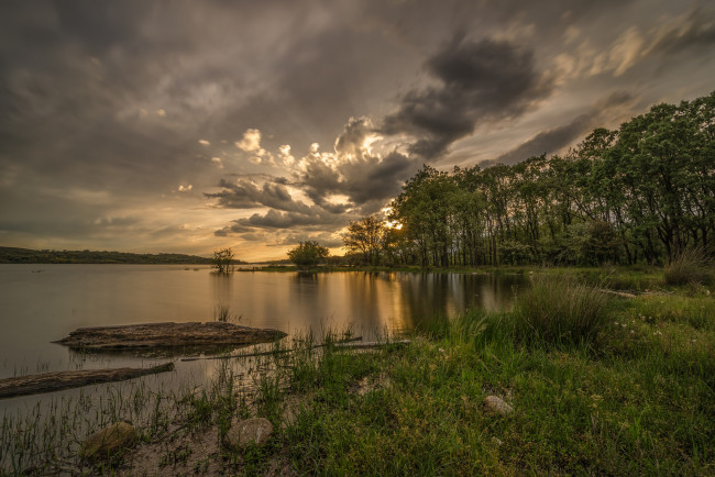 Обои картинки фото природа, реки, озера, река, лес