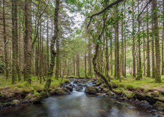 Картинка природа реки озера простор