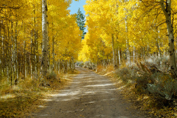 Картинка природа дороги простор