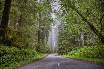 Картинка природа дороги простор