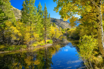 Картинка природа реки озера простор