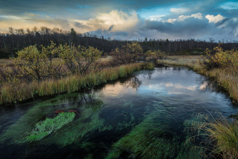 Картинка природа реки озера простор