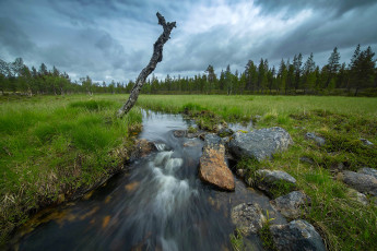 Картинка природа реки озера простор