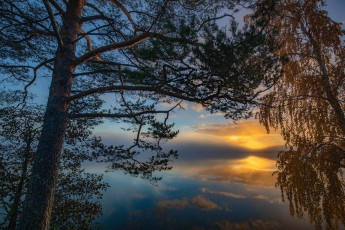 Картинка природа реки озера простор