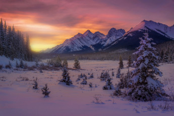 Картинка природа зима простор