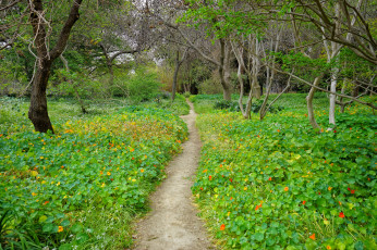 Картинка природа дороги простор