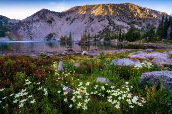 Картинка природа луга простор