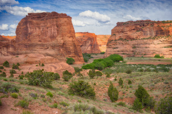 Картинка природа пустыни простор