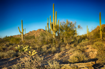 Картинка природа пустыни простор