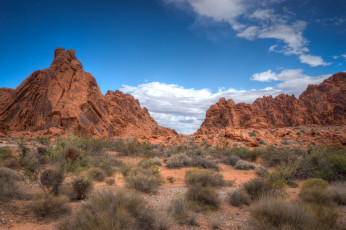 Картинка природа пустыни простор