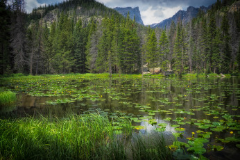 Картинка природа реки озера простор