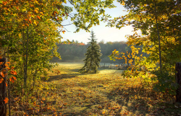 Картинка природа пейзажи простор