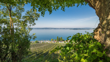 Картинка города -+пейзажи простор