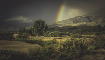 Картинка природа пейзажи простор