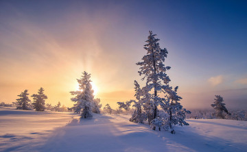 Картинка природа зима простор