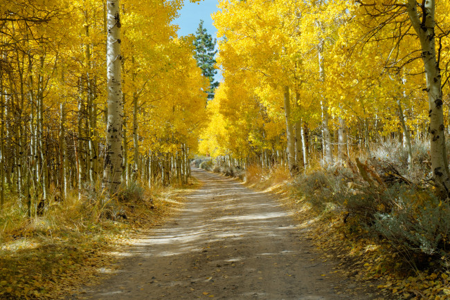 Обои картинки фото природа, дороги, простор