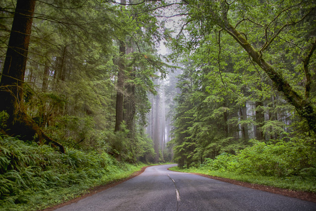 Обои картинки фото природа, дороги, простор