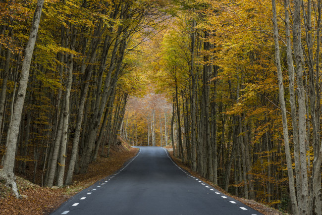 Обои картинки фото природа, дороги, простор