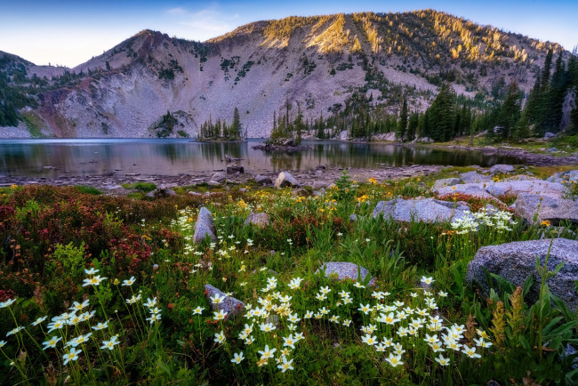 Обои картинки фото природа, луга, простор