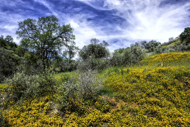 Обои картинки фото природа, пейзажи, простор