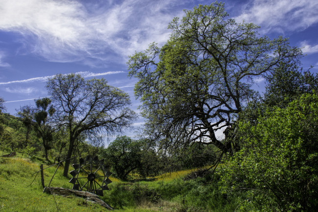 Обои картинки фото природа, пейзажи, простор