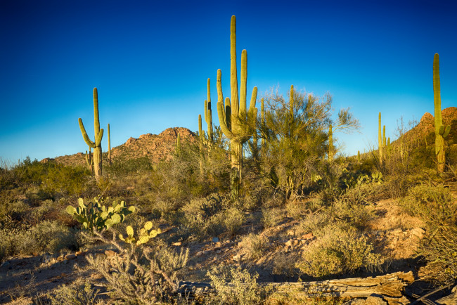 Обои картинки фото природа, пустыни, простор