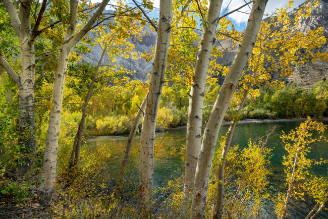 Обои картинки фото природа, реки, озера, простор