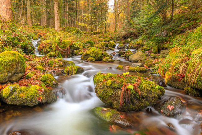 Обои картинки фото природа, реки, озера, простор