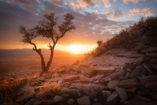 Обои картинки фото природа, восходы, закаты, простор