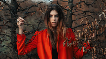 Картинка девушки -+рыжеволосые+и+разноцветные осень ветки листья