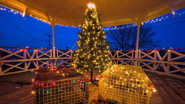 Обои картинки фото праздничные, ёлки, елка, гирлянды